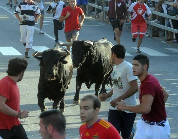 Encierros tradicionales de Medina del Campo