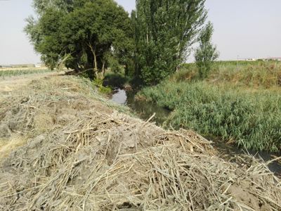 Limpieza márgenes río Zapardiel