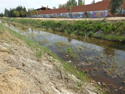 Limpieza márgenes río Zapardiel