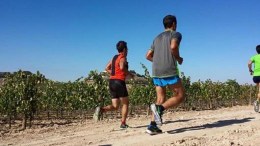Algunos corredores en ediciones pasadas de «Corriendo entre viñas»- DipVa
