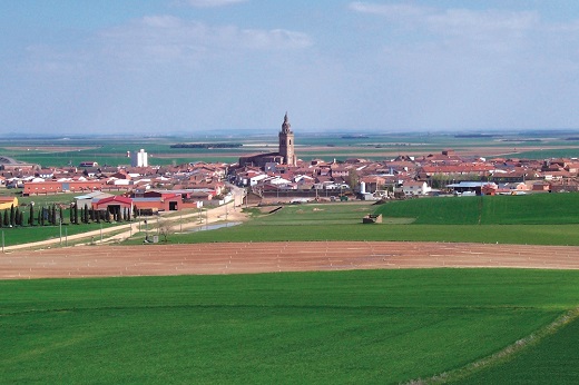 Vista panorámica de Nava del Rey