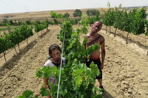 Medina del Campo, en alerta por una invasión zombie