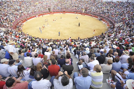 Plaza de Toros de Medina del Campo. / Fran Jiménez