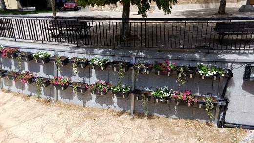 Ornamentación floral que va completando los "jardines verticales" del río Zapardiel / Cadena SER