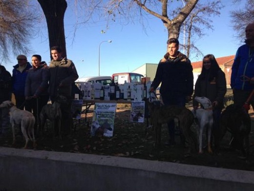 La I Copa del Verdejo de Galgos finaliza mañana en Medina.