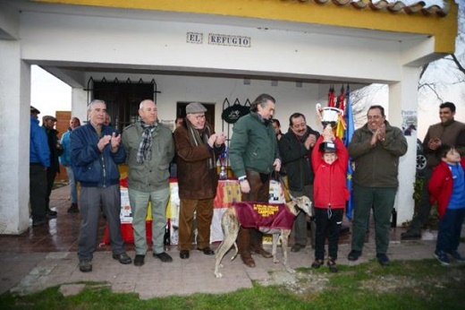 La galga “Estela”, invitada al Memorial José María Lalanda en Toledo