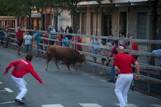 Encierros Avda.Lope Portugal, Medina del Campo. Foto de Fermín Rodríguez