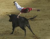 Un concursante realiza un salto espectacular sobre uno de los novillos. 