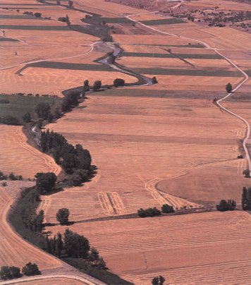 Las parcelas de tierras de pan llevar se suceden a lo largo del río Zapardiel, que atraviesa Medina del Campo