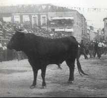 Toro del Alba