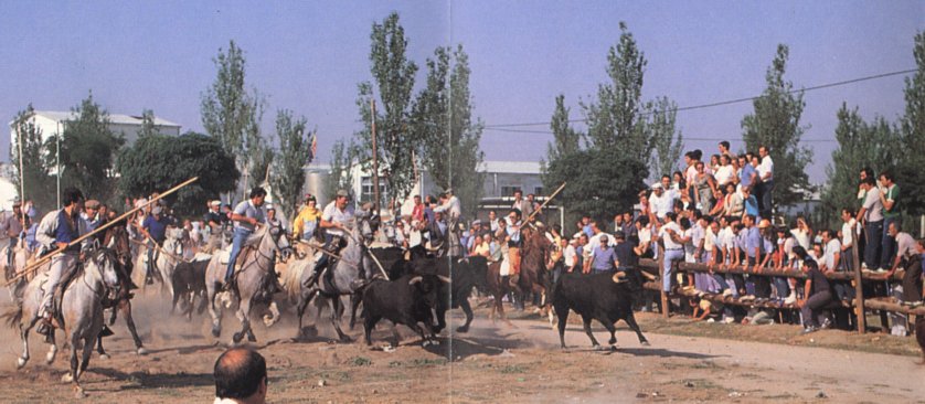 Nuestros Encierros