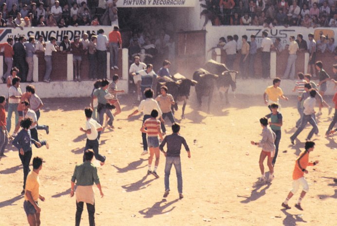 Encierros Plaza de Toros