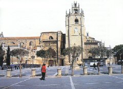 Catedral de Palencia