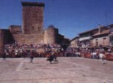 Castillo de Miranda del Castaar, (Salamanca)