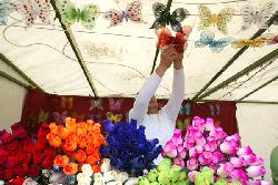 Uno de los puestos de la II Feria de la Hispanidad en Medina del Campo