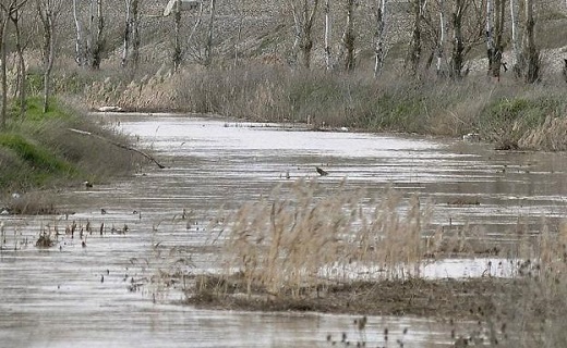 Cauce del río Zapardiel. FRAN JIMÉNEZ