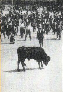 Toro del Alba