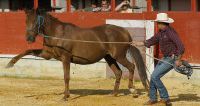 El domador Chico Ramírez adiestra a una yegua, ayer en la plaza de toros de Medina del Campo.