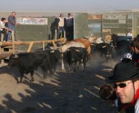 Antiguos corrales de Martinache, de donde salían otros años los toros. / F. JIMÉNEZ