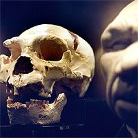 Cráneo número 5 (copia) hallado en la sima de los Huesos y reconstrucción del aspecto del individuo. (CONSUELO BAUTISTA