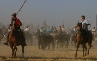 Caballistas durante uno de los encierros camperos del 2005 en Medina del Campo. / FRAN JIMÉNEZ