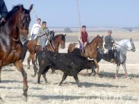 Caballistas encierros de Medina del Campo