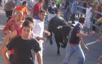 Un grupo de mozos corre ante uno de los dos toros que lograron entrar en el recorrido urbano de Medina del Campo. / FOTOS FRAN JIMÉNEZ