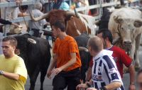 El encierro por una de las calles de Medina del Campo. / F. J.