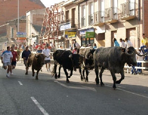 Recorrido encierro calle de Artillería