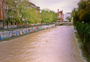 Río Zapardiel a su paso por Medina del Campo - crecida