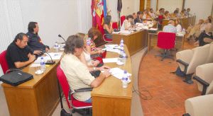 Los corporativos durante el pleno ordinario en el Ayuntamiento de Medina del Campo. / FRAN JIMÉNEZ