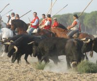 Algunos caballistas durante las fiestas del ao pasado. /F. JIMNEZ