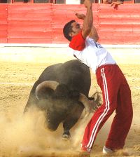 Un joven realiza un corte en la plaza de toros de Medina. / F. JIMNEZ