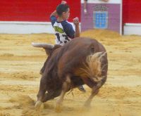 El Parri, en uno de los cortes que le garantizaron el triunfo en Medina del Campo. / FRAN JIMNEZ