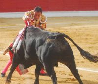 Pepn Liria entra a matar a su primer toro. / FRAN JIMNEZ