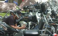Motos participantes en la segunda concentración de Harley Davidson de Medina del Campo. / F. JIMÉNEZ