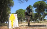 Un peregrino a su paso por la provincia de Valladolid. / EL NORTE