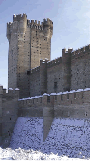 Castillo de la Mota de Medina del Campo 