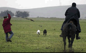 Caza con galgos en el momento de la suelta. (Foto cortesía Foto Fran)