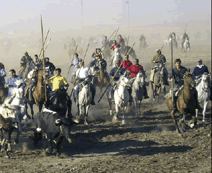 Encierros tradicionales en Medina del Campo. (Foto cedida por F. J. Medina).