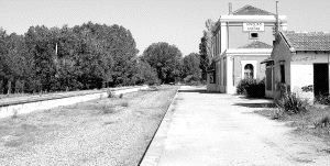 Corredor de la antigua línea Segovia-Medina del Campo, a su paso por la estación de Yanguas de Eresma, hoy abandonada entre la maleza. / ISABEL JIMENO