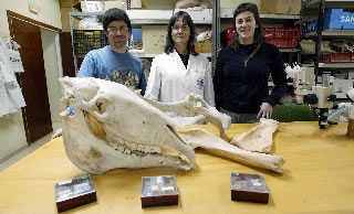 Juan Rofes, Gloria Cuenca-Bescos, en el centro, y Raquel Rabal, miembros del grupo.