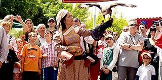 Cientos de personas se dan cita cada da de la feria para ver la exhibicin de cetrera en la calle de Padilla.