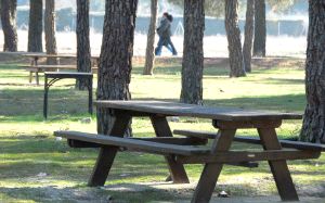 Merendero en el parque de Las Salinas. / F. JIMÉNEZ