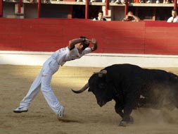 El zamorano Vctor Holgado triunfa en el Certamen Nacional de Cortes de Medina