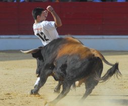 El ganador del concurso, Vctor Holgado, en uno de sus cortes. / FOTOS. FRAN JIMNEZ 