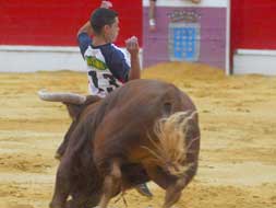 El Parri, en uno de los cortes que le garantizaron el triunfo en el Concurso del ao pasado./ FRAN JIMNEZ