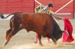 Profundo y templado natural del vallisoletano Joselillo, ayer en Medina del Campo. / FRAN JIMNEZ 