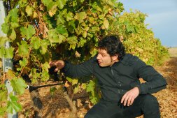 Ricardo Sanz, 'Richard', entre los viedos de su bodega en Medina del Campo./ FRAN JIMNEZ 