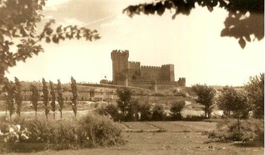 Vista del castillo de la Mota desde el Chopal. H.1950